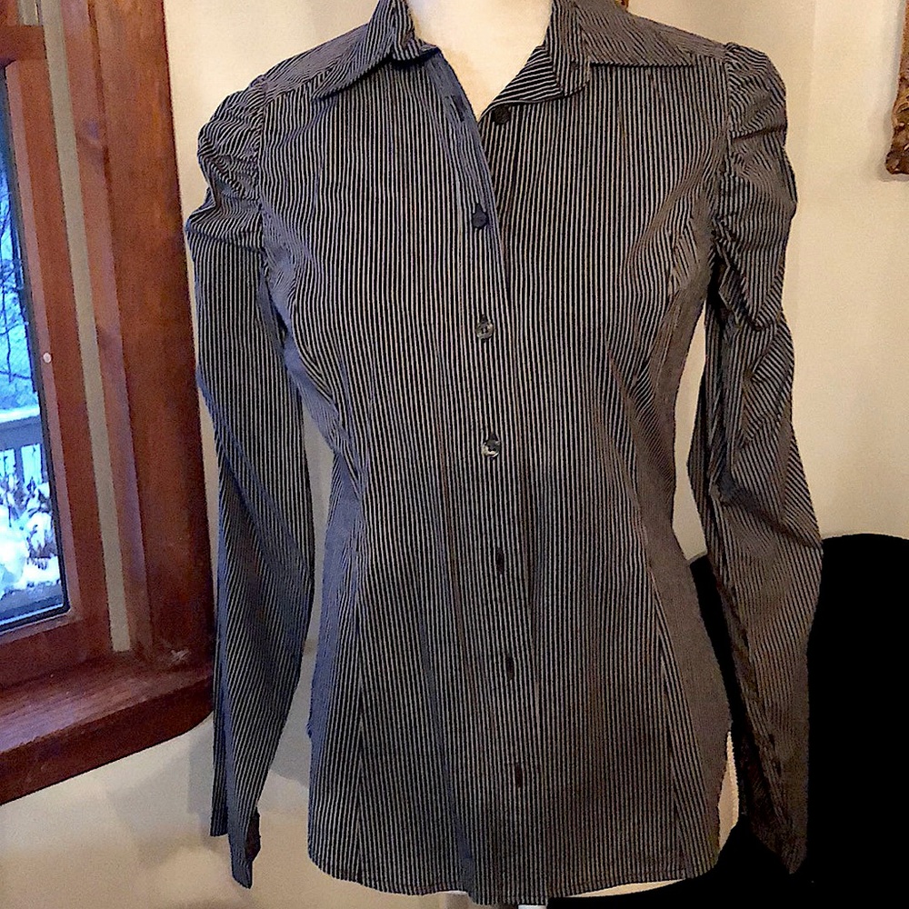 The Limited pin-stripe, long-sleeves blouse.